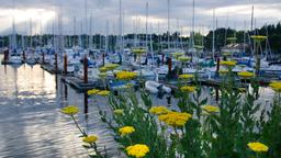 Comox Hotels