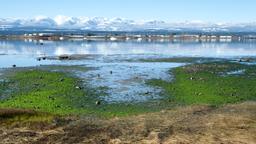 Find cheap flights from Johannesburg to Comox