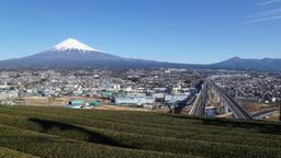 Fuji car hire