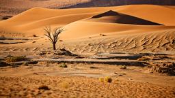 Find cheap flights from Cape Town to Namibia