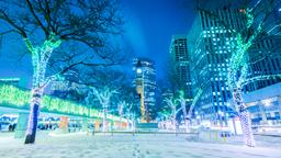 Toronto hotels