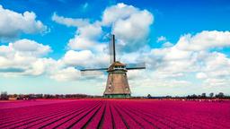 Find cheap flights to Netherlands