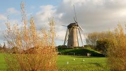 Hoofddorp car hire