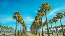 Miami Springs Hotels