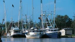 Houma Hotels