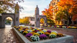 Bloomington car hire
