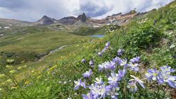 Find cheap flights from Cape Town to Colorado