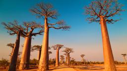 Find cheap flights from Hoedspruit to Madagascar