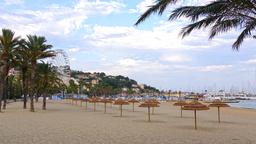 Le Lavandou car hire