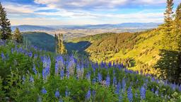 Park City hotels