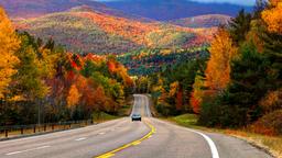 Find cheap flights from Pilanesberg to New York