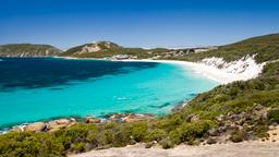 Albany car hire