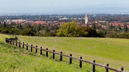 Palo Alto car hire
