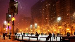Chicago hotels