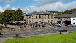 Find cheap flights from Port Elizabeth to Ireland