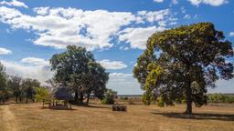 Find cheap flights to Zambia