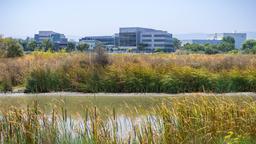 Sunnyvale car hire