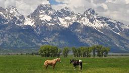 Hotels near Jackson Hole Airport