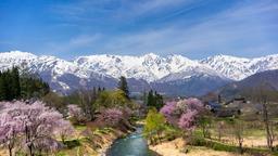 Hakuba Hotels
