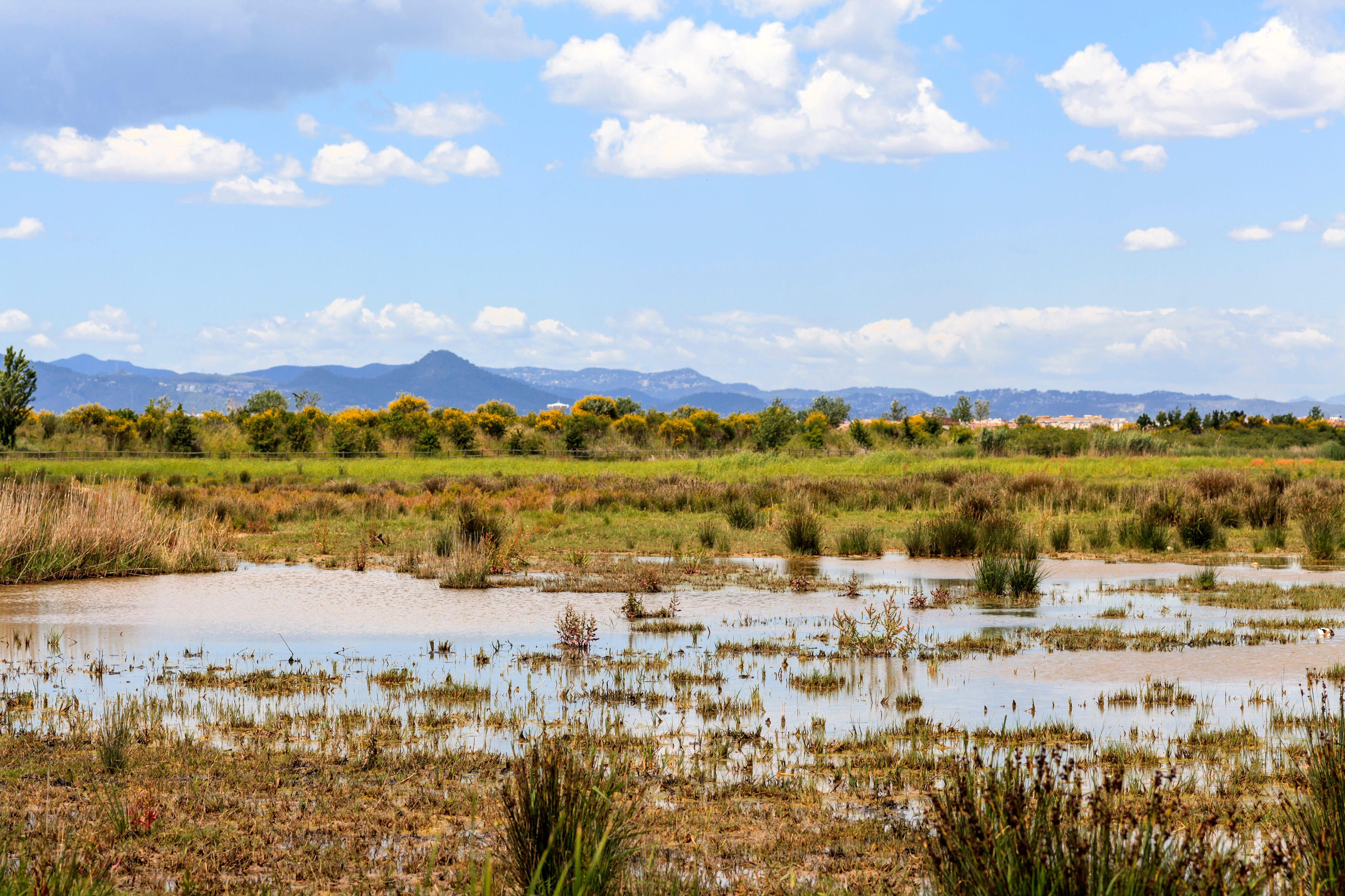 El Prat de Llobregat car hire
