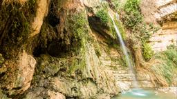 En Gedi car hire