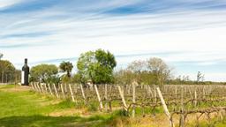 Find cheap flights from Cape Town to Uruguay