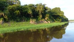 Amazonas hotels
