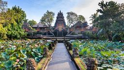 Find cheap flights to Ubud