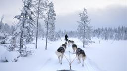 Find cheap flights to Finland