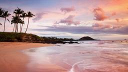 Wailea Hotels
