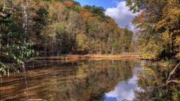 Find cheap flights to Ohio