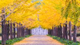 Hotels near Fukushima Airport