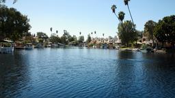 Lake Forest car hire