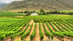 Montagu Hotels