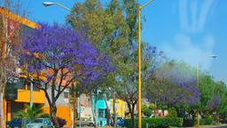 Aguascalientes hotels