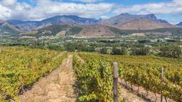 Find cheap flights from Milan Linate to South Africa