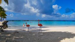 Find cheap flights from Johannesburg to Oranjestad