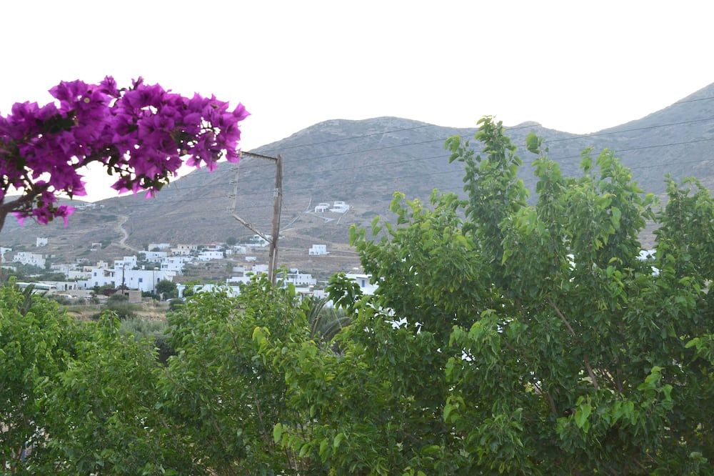 Outdoor view
