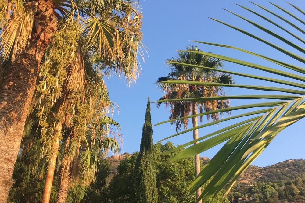 Outdoor view