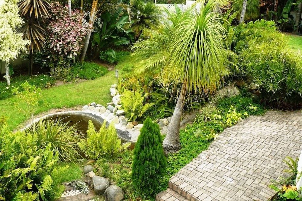 Outdoor view