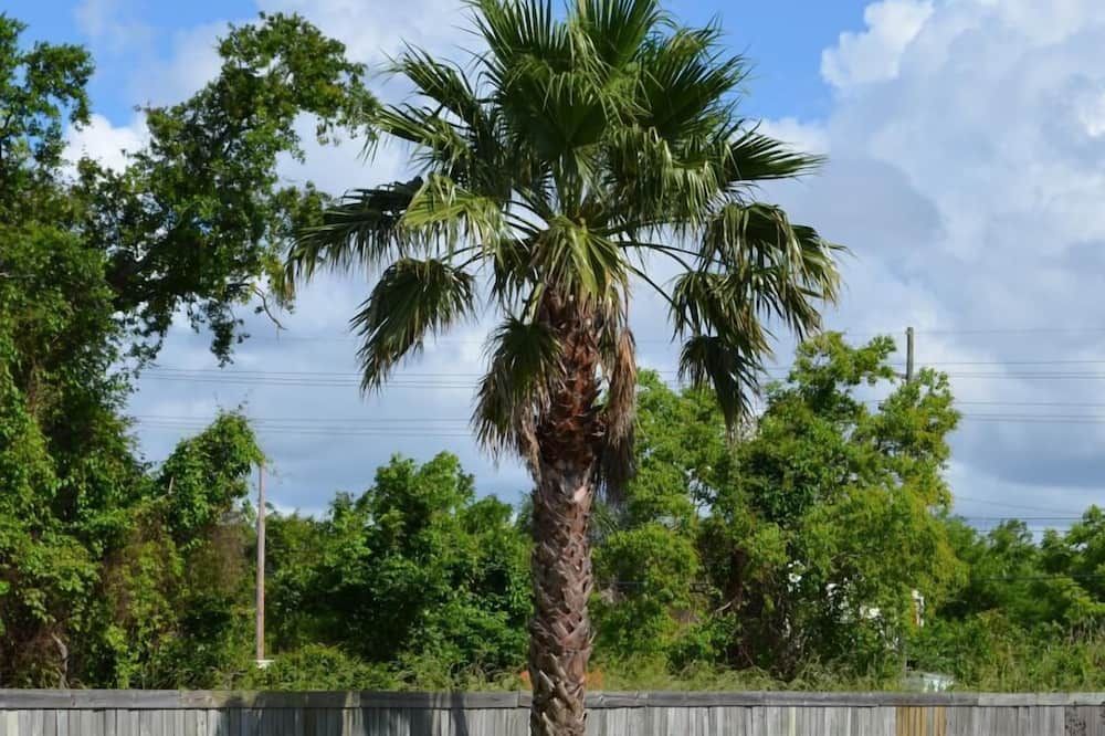 Outdoor view
