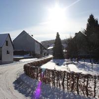 Vibrant Apartment in Willingen with Private Terrace