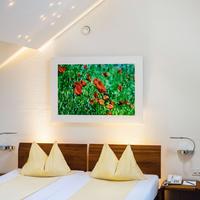 Top Hotel Odelya Basel