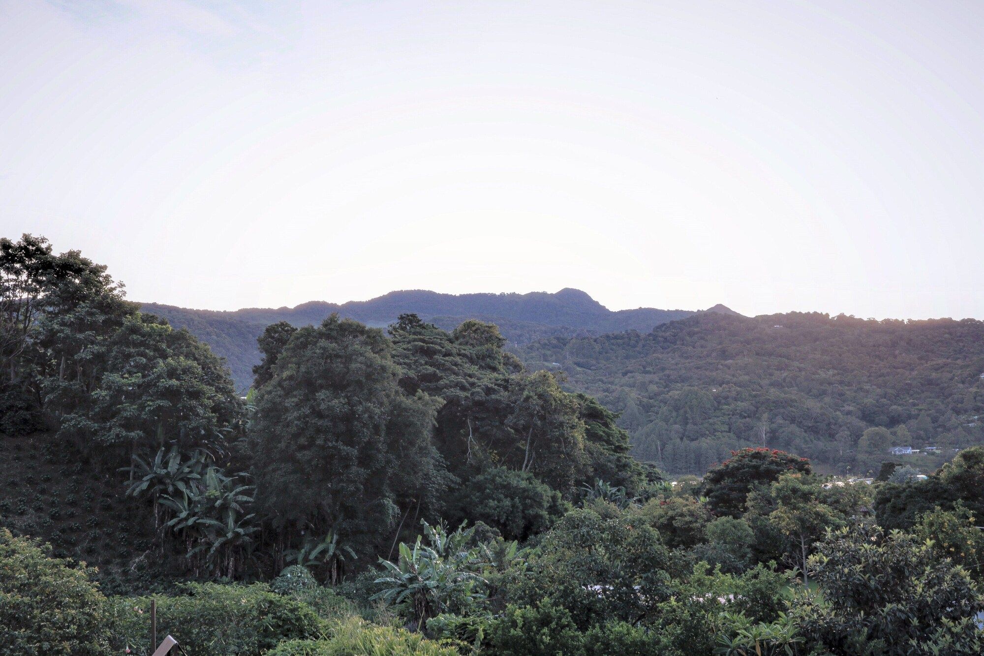 Outdoor view