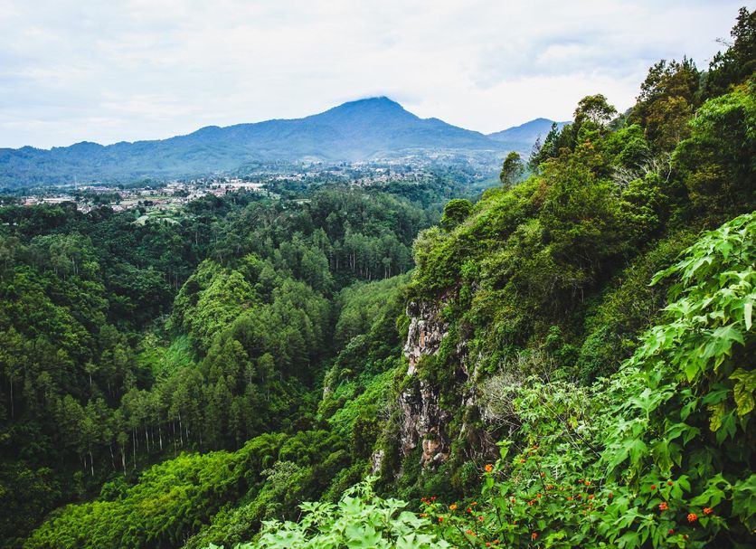 Outdoor view Photo