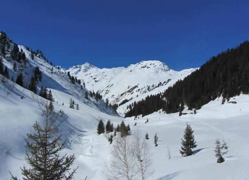 Other Photo