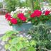 Outdoor view