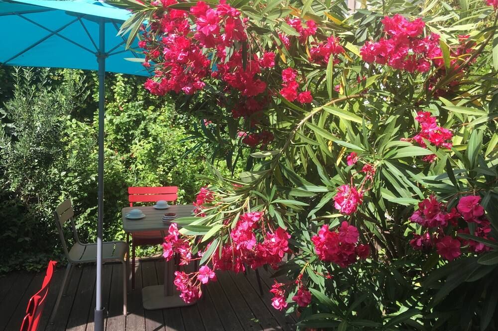 Outdoor view