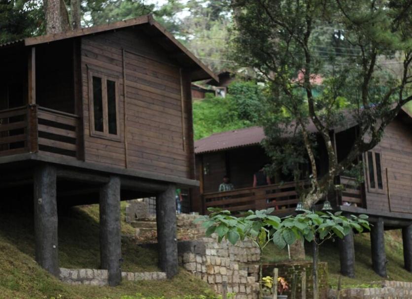 Other Photo