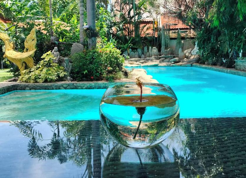 Pool Photo